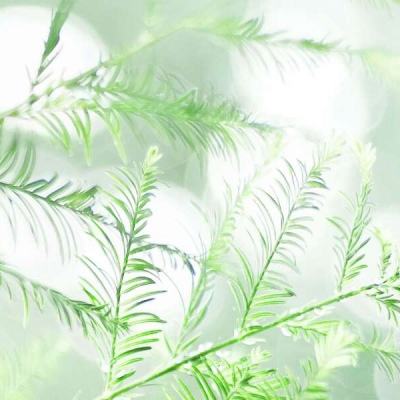 灵剑天尊游戏
